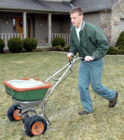 fertilizing lawns