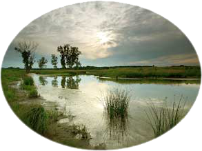 stormwater management